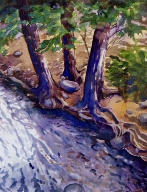 Sacramento River w/c